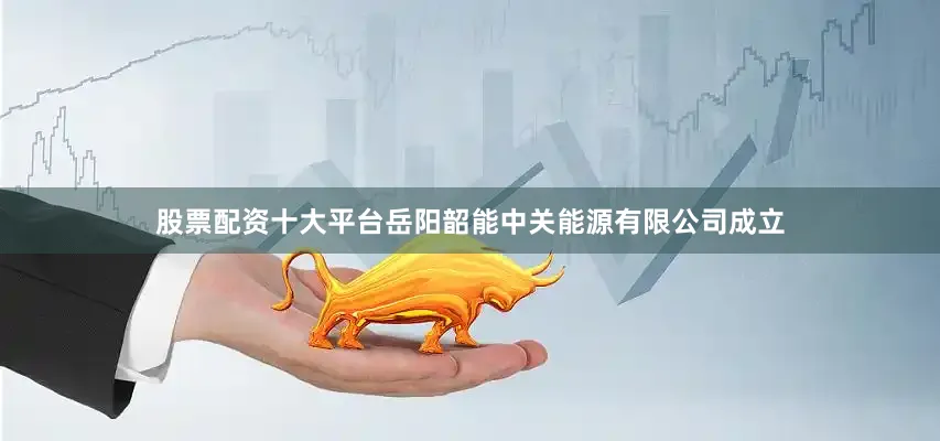 股票配资十大平台岳阳韶能中关能源有限公司成立