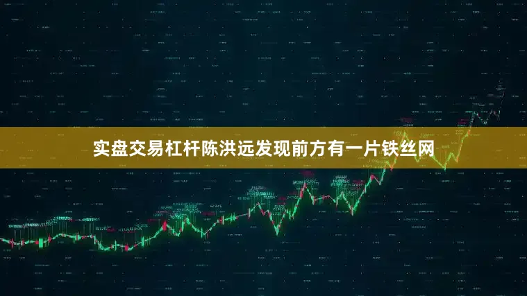 实盘交易杠杆陈洪远发现前方有一片铁丝网