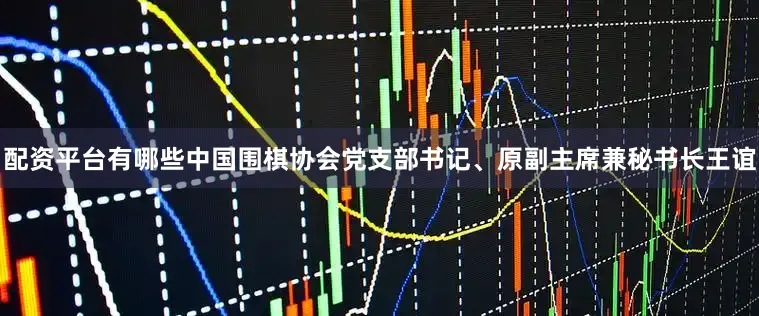 配资平台有哪些中国围棋协会党支部书记、原副主席兼秘书长王谊