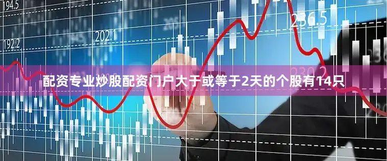 配资专业炒股配资门户大于或等于2天的个股有14只