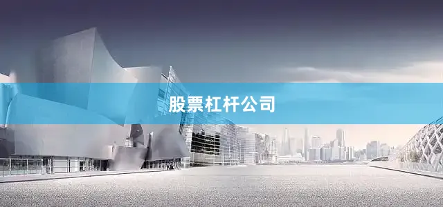 股票杠杆公司