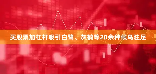 买股票加杠杆吸引白鹭、灰鹤等20余种候鸟驻足