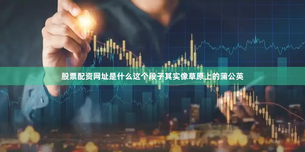 股票配资网址是什么这个段子其实像草原上的蒲公英